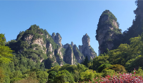 威勤企業(yè)團(tuán)建：張家界+鳳凰古城之旅